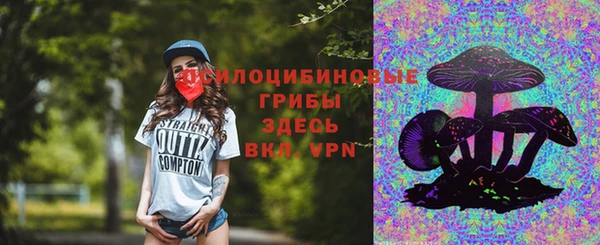 спиды Краснослободск